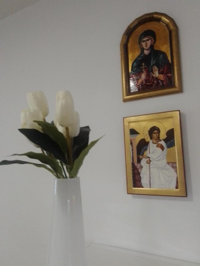 Vrnjačka BanjaNektar 88アパートメント エクステリア 写真