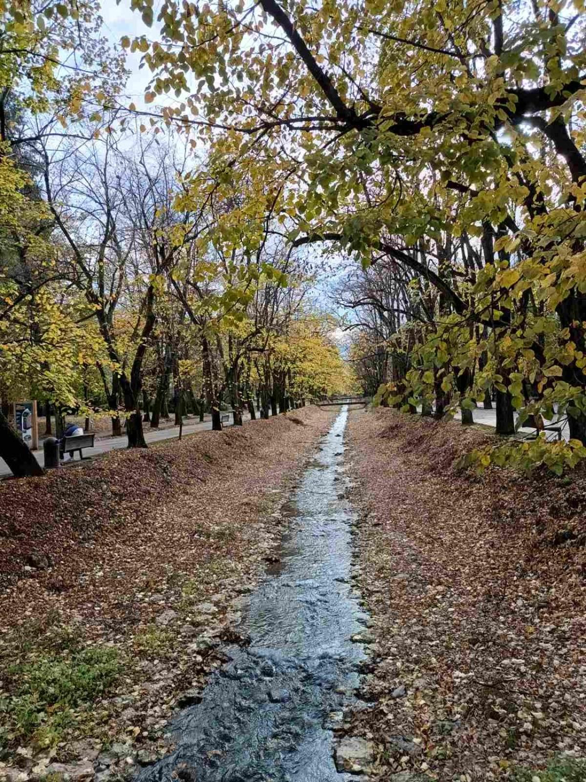 Vrnjačka BanjaNektar 88アパートメント エクステリア 写真